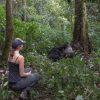 How to Plan a Self Guided Gorilla Trek in Uganda