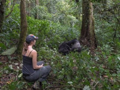Gorilla Trekking